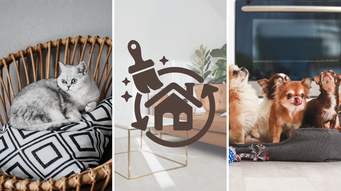 ペット共生リノベはどんな人におすすめ？