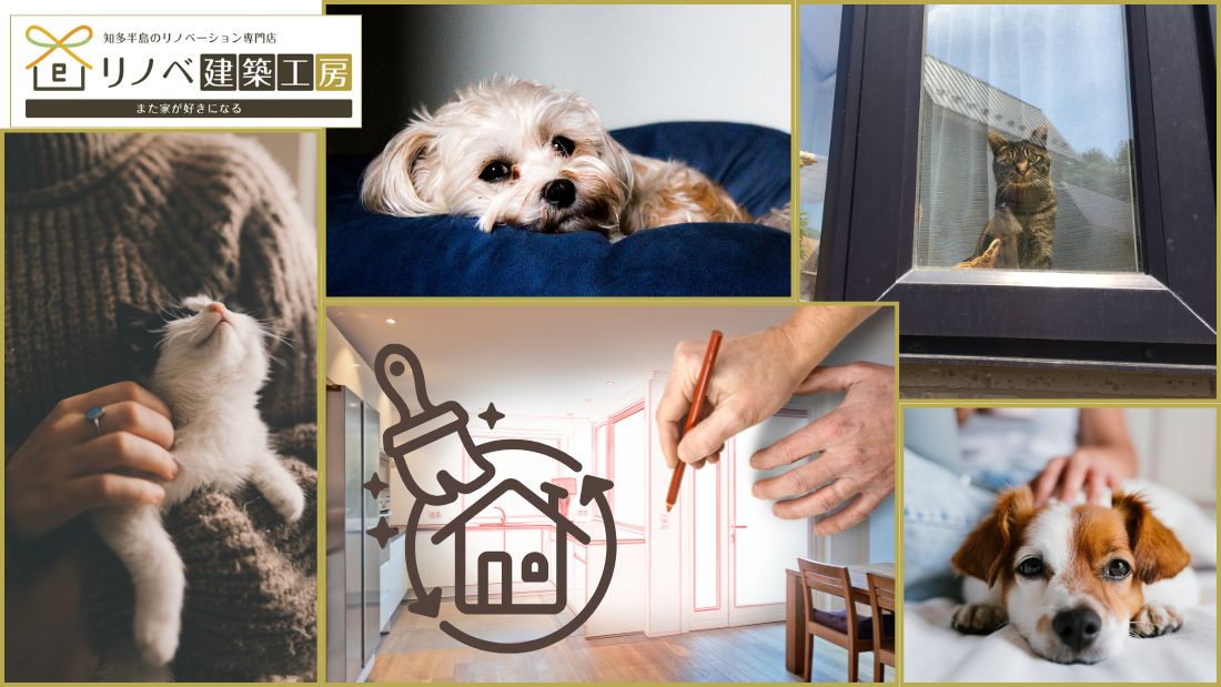 ペットと暮らす家の正解｜共生リノベで変わる動線・素材・空間デザイン